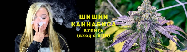 винт Дмитров