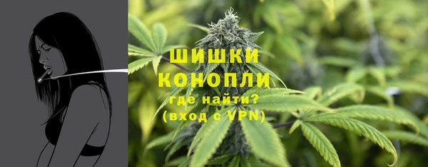 прущие крисы Дмитриев