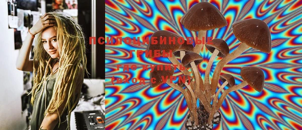 винт Дмитров