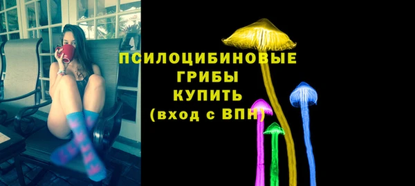 винт Дмитров