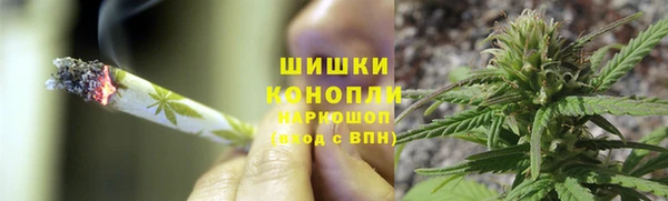 прущие крисы Дмитриев
