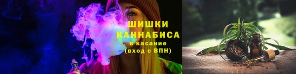 винт Дмитров
