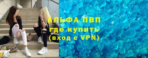 винт Дмитров